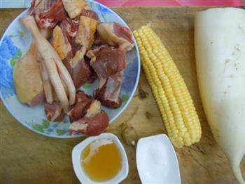 萝卜老鸭汤怎么做，萝卜老鸭汤怎么做好吃，萝卜老鸭汤做法
