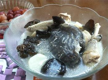甲鱼母鸡汤怎么做，甲鱼母鸡汤怎么做好吃，甲鱼母鸡汤做法