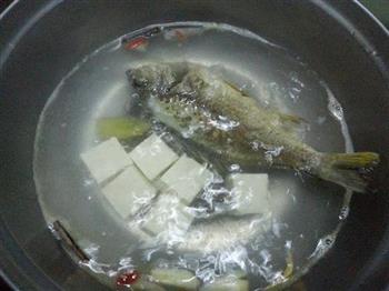 鲜鱼椰菜豆腐汤怎么做，鲜鱼椰菜豆腐汤怎么做好吃，鲜鱼椰菜豆腐汤做法
