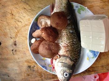 香菇豆腐鲫鱼汤怎么做，香菇豆腐鲫鱼汤怎么做好吃，香菇豆腐鲫鱼汤做法