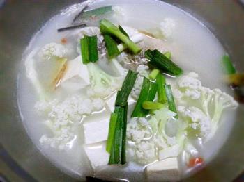 鲜鱼椰菜豆腐汤怎么做，鲜鱼椰菜豆腐汤怎么做好吃，鲜鱼椰菜豆腐汤做法