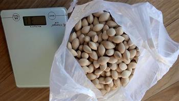 白果炖排骨怎么做，白果炖排骨怎么做好吃，白果炖排骨做法