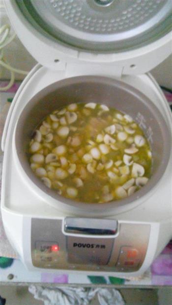 双孢菇煲鸡鲜汤怎么做，双孢菇煲鸡鲜汤怎么做好吃，双孢菇煲鸡鲜汤做法