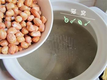 花生薏米猪蹄汤怎么做，花生薏米猪蹄汤怎么做好吃，花生薏米猪蹄汤做法