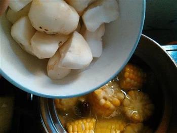 鸡肉煲玉米胡萝卜汤怎么做，鸡肉煲玉米胡萝卜汤怎么做好吃，鸡肉煲玉米胡萝卜汤做法