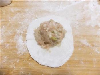 玉兔水晶虾饺皇怎么做，玉兔水晶虾饺皇怎么做好吃，玉兔水晶虾饺皇做法