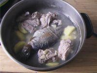 南北杏苹果金鳟鱼汤怎么做，南北杏苹果金鳟鱼汤怎么做好吃，南北杏苹果金鳟鱼汤做法