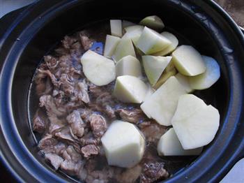 茄汁牛腩炖土豆怎么做，茄汁牛腩炖土豆怎么做好吃，茄汁牛腩炖土豆做法