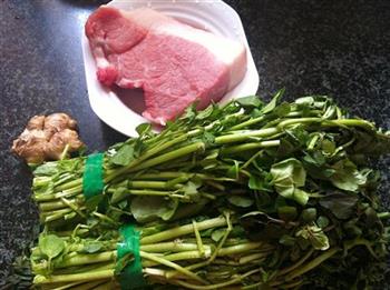 西洋菜猪肉汤怎么做，西洋菜猪肉汤怎么做好吃，西洋菜猪肉汤做法