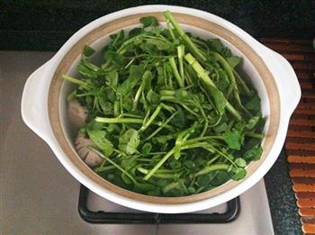 西洋菜猪肉汤怎么做，西洋菜猪肉汤怎么做好吃，西洋菜猪肉汤做法
