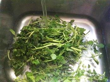 西洋菜猪肉汤怎么做，西洋菜猪肉汤怎么做好吃，西洋菜猪肉汤做法
