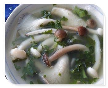 雪菜杂菌汤怎么做，雪菜杂菌汤怎么做好吃，雪菜杂菌汤做法