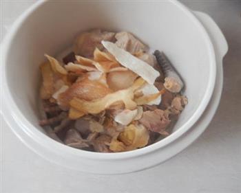 花旗参响螺片鸡汤怎么做，花旗参响螺片鸡汤怎么做好吃，花旗参响螺片鸡汤做法