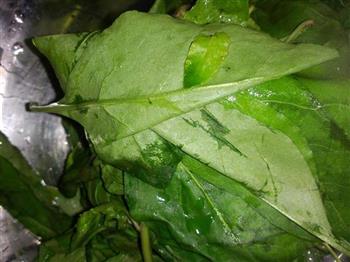 枸杞菜汤怎么做，枸杞菜汤怎么做好吃，枸杞菜汤做法