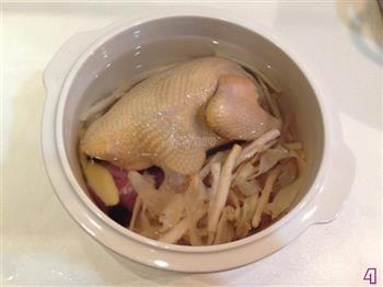 沙参玉竹鸽子汤怎么做，沙参玉竹鸽子汤怎么做好吃，沙参玉竹鸽子汤做法
