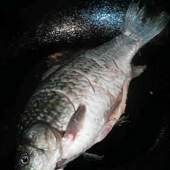 河鲫鱼蛤蜊汤怎么做，河鲫鱼蛤蜊汤怎么做好吃，河鲫鱼蛤蜊汤做法