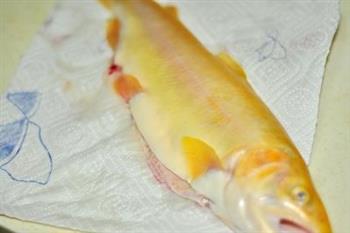 红烧金鳟鱼怎么做，红烧金鳟鱼怎么做好吃，红烧金鳟鱼做法