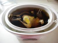 灵芝鸽子汤怎么做，灵芝鸽子汤怎么做好吃，灵芝鸽子汤做法