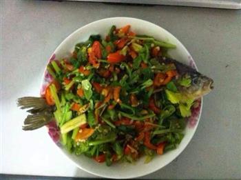 香菜红烧鲫鱼怎么做，香菜红烧鲫鱼怎么做好吃，香菜红烧鲫鱼做法