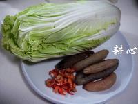 大白菜海参汤怎么做，大白菜海参汤怎么做好吃，大白菜海参汤做法