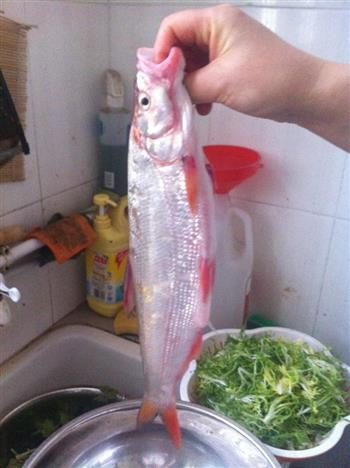 红烧鲢子怎么做，红烧鲢子怎么做好吃，红烧鲢子做法
