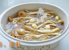 白莲茶树菇乳鸽汤怎么做，白莲茶树菇乳鸽汤怎么做好吃，白莲茶树菇乳鸽汤做法
