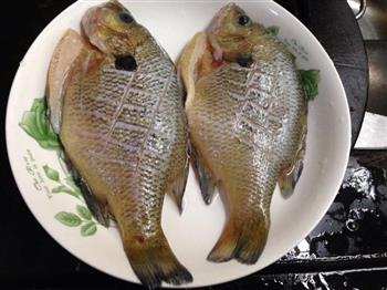 豉汁蒸太陽魚怎么做，豉汁蒸太陽魚怎么做好吃，豉汁蒸太陽魚做法