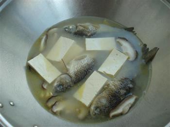 香菇豆腐鲫鱼汤-冬季暖身怎么做，香菇豆腐鲫鱼汤-冬季暖身怎么做好吃，香菇豆腐鲫鱼汤-冬季暖身做法