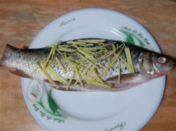 榨菜蒸鲮鱼-乌江榨菜怎么做，榨菜蒸鲮鱼-乌江榨菜怎么做好吃，榨菜蒸鲮鱼-乌江榨菜做法