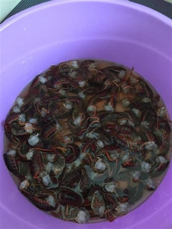烧虾球怎么做，烧虾球怎么做好吃，烧虾球做法