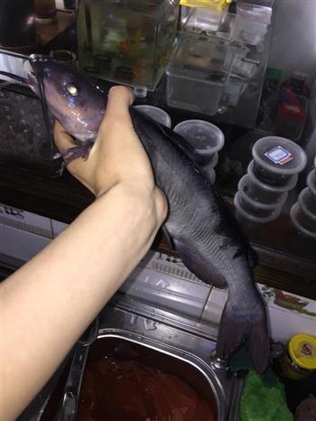 大蒜炖鮰鱼怎么做，大蒜炖鮰鱼怎么做好吃，大蒜炖鮰鱼做法