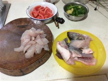 西红柿烩鱼片怎么做，西红柿烩鱼片怎么做好吃，西红柿烩鱼片做法