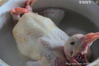 炖鸽子汤怎么做，炖鸽子汤怎么做好吃，炖鸽子汤做法