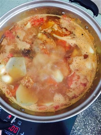 西红柿炖鱼怎么做，西红柿炖鱼怎么做好吃，西红柿炖鱼做法