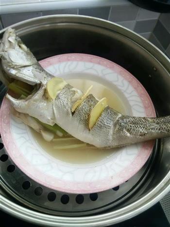 清蒸鲈板怎么做，清蒸鲈板怎么做好吃，清蒸鲈板做法