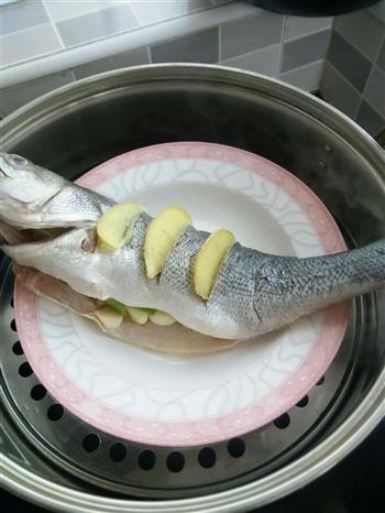 清蒸鲈板怎么做，清蒸鲈板怎么做好吃，清蒸鲈板做法