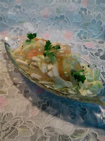 凉拌白菜海蜇怎么做，凉拌白菜海蜇怎么做好吃，凉拌白菜海蜇做法
