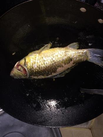 豆腐烧鲫鱼怎么做，豆腐烧鲫鱼怎么做好吃，豆腐烧鲫鱼做法