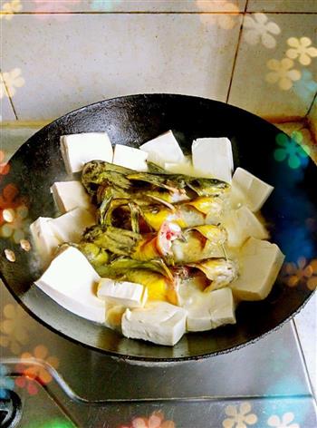 鲫花鱼炖豆腐怎么做，鲫花鱼炖豆腐怎么做好吃，鲫花鱼炖豆腐做法