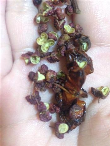 麻辣花甲怎么做，麻辣花甲怎么做好吃，麻辣花甲做法