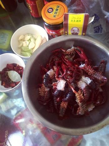 麻辣小龙虾 TT版怎么做，麻辣小龙虾 TT版怎么做好吃，麻辣小龙虾 TT版做法