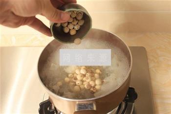 雪蛤雪燕百合润肺汤怎么做，雪蛤雪燕百合润肺汤怎么做好吃，雪蛤雪燕百合润肺汤做法