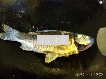 杨桃鲫鱼汤怎么做，杨桃鲫鱼汤怎么做好吃，杨桃鲫鱼汤做法