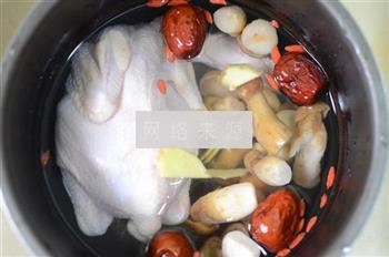 牛肝菌童子鸡汤怎么做，牛肝菌童子鸡汤怎么做好吃，牛肝菌童子鸡汤做法
