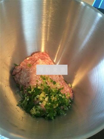 猪肉丸子白菜汤怎么做，猪肉丸子白菜汤怎么做好吃，猪肉丸子白菜汤做法