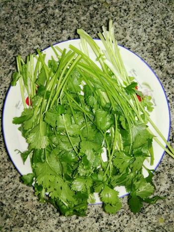 香菜啤酒炖鱼怎么做，香菜啤酒炖鱼怎么做好吃，香菜啤酒炖鱼做法