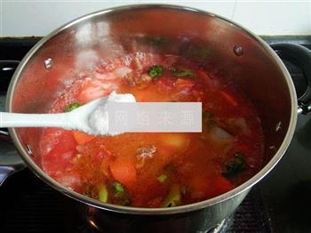 杂蔬小牛腩浓汤怎么做，杂蔬小牛腩浓汤怎么做好吃，杂蔬小牛腩浓汤做法