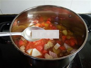 杂蔬小牛腩浓汤怎么做，杂蔬小牛腩浓汤怎么做好吃，杂蔬小牛腩浓汤做法