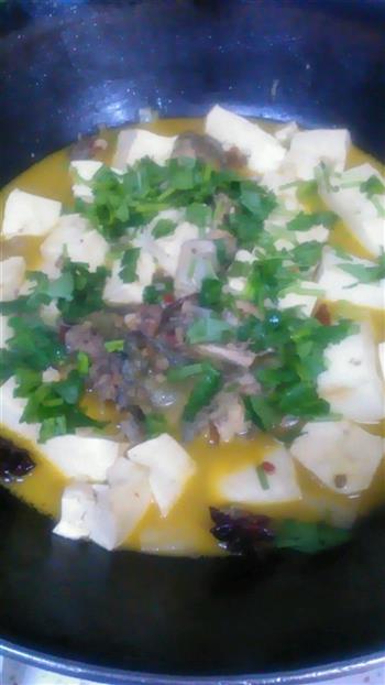 鲶鱼豆腐怎么做，鲶鱼豆腐怎么做好吃，鲶鱼豆腐做法