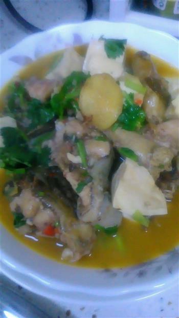 鲶鱼豆腐怎么做，鲶鱼豆腐怎么做好吃，鲶鱼豆腐做法
